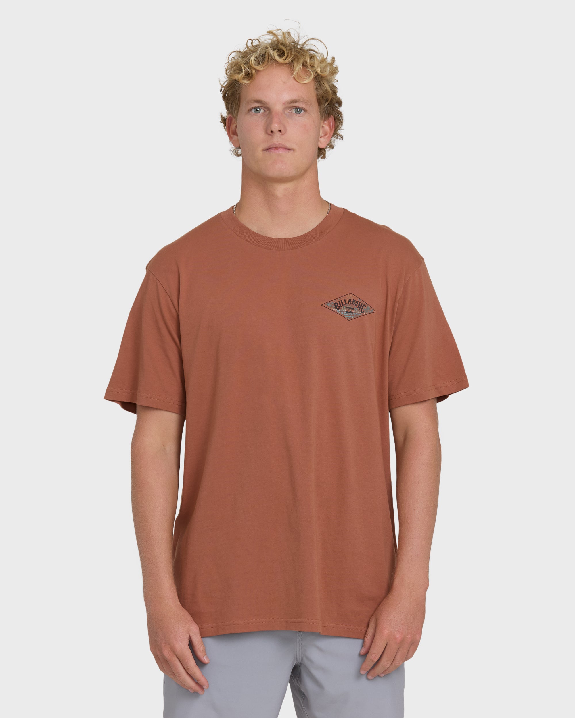 A/Div Arch Premium Short Sleeve Knit T-Shirt