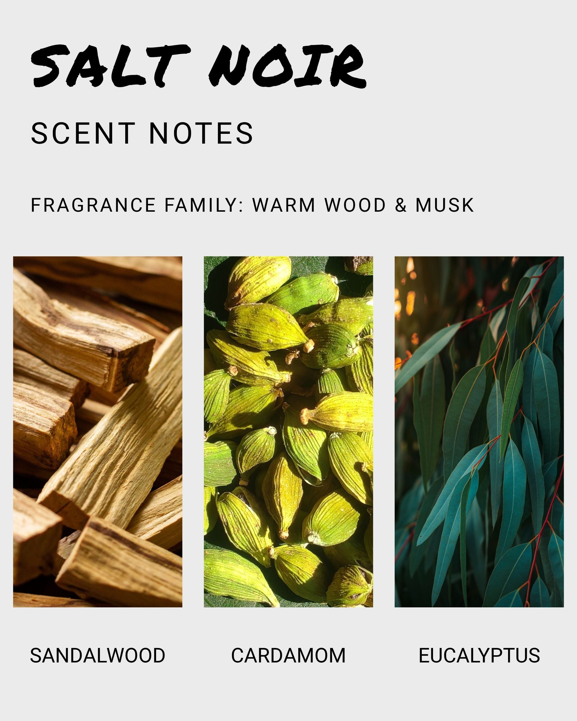 Salt Noir Dude Spray